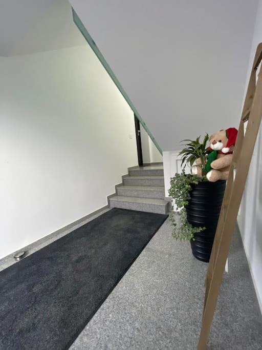 Apartament Timisoara 6 Exterior photo